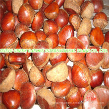 Fresh New Crop Tasty Chestnut